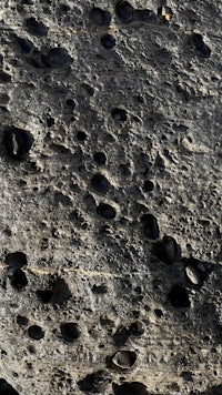 a close up of a rock with holes in it